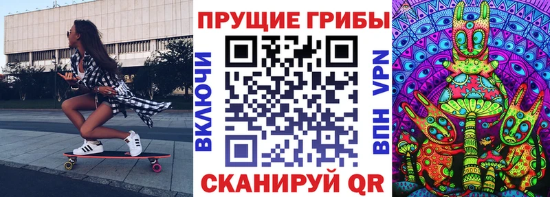 blacksprut ссылки  Углегорск  Псилоцибиновые грибы мухоморы 